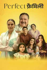 Perfect Family - Posters