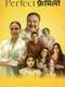 Perfect Family