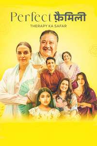 Perfect Family - Posters
