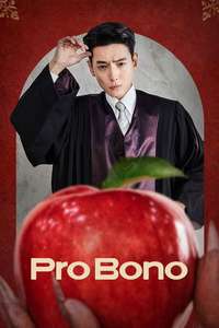 Pro Bono - Posters