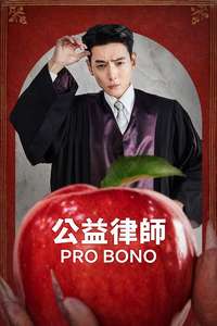 Pro Bono - Posters
