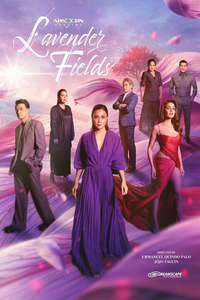 Lavender Fields - Posters