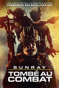 Sunray: Fallen Soldier - Posters