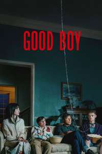 Good Boy - Posters