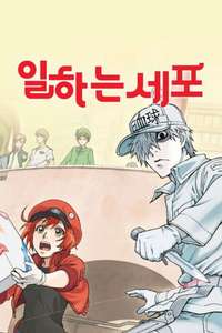 Cells at Work! - Posters