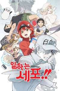 Cells at Work! - Posters
