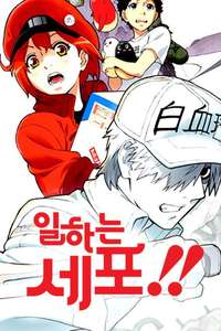 Cells at Work! - Posters