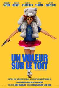 Roofman - Posters