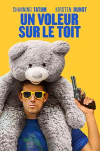 Roofman - Posters