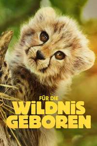 Born to Be Wild - Posters