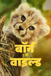 Born to Be Wild - Posters
