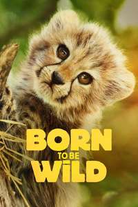 Born to Be Wild - Posters