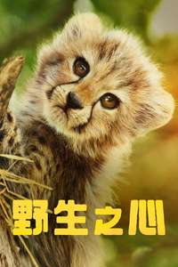 Born to Be Wild - Posters