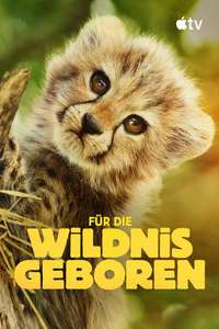 Born to Be Wild - Posters