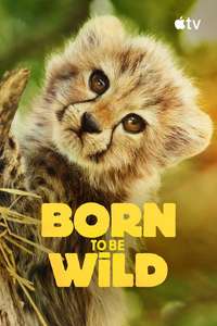 Born to Be Wild - Posters
