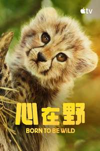 Born to Be Wild - Posters