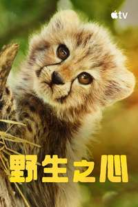 Born to Be Wild - Posters