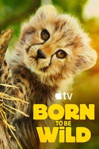Born to Be Wild - Posters