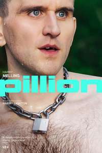 Pillion - Posters