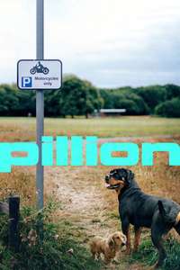 Pillion - Posters