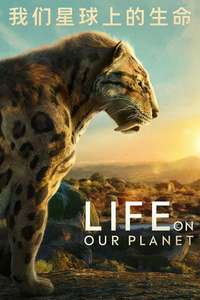 Life on Our Planet - Posters