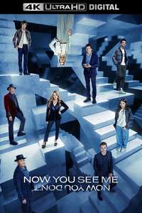 Now You See Me: Now You Don't - Posters