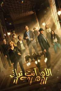 Now You See Me: Now You Don't - Posters