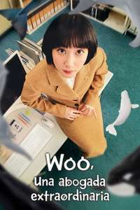 Extraordinary Attorney Woo - Posters