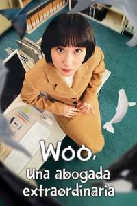 Extraordinary Attorney Woo - Posters