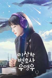 Extraordinary Attorney Woo - Posters