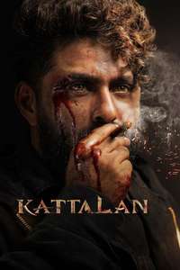 Kattalan - Posters