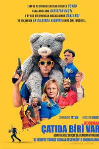 Roofman - Posters