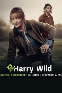 Harry Wild - Posters