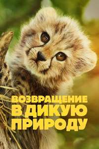 Born to Be Wild - Posters