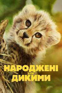 Born to Be Wild - Posters