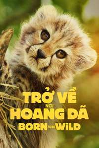 Born to Be Wild - Posters