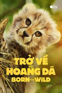 Born to Be Wild - Posters