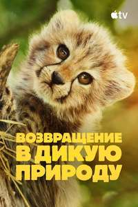 Born to Be Wild - Posters