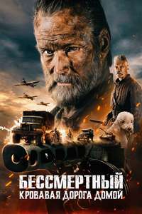 Sisu: Road to Revenge - Posters
