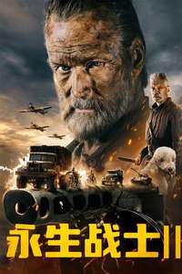 Sisu: Road to Revenge - Posters