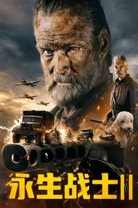 Sisu: Road to Revenge - Posters