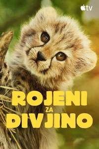 Born to Be Wild - Posters