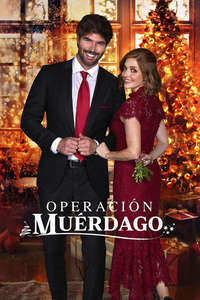 Operation Mistletoe - Posters