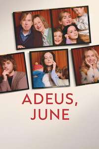 Goodbye June - Posters