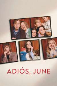 Goodbye June - Posters