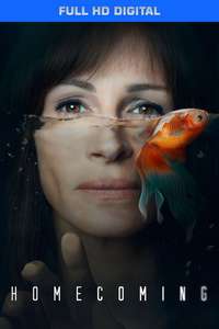 Homecoming - Posters