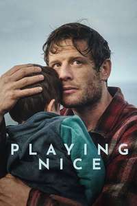 Playing Nice - Posters