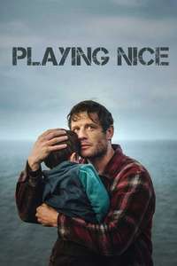 Playing Nice - Posters