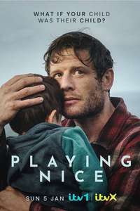 Playing Nice - Posters