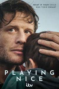 Playing Nice - Posters